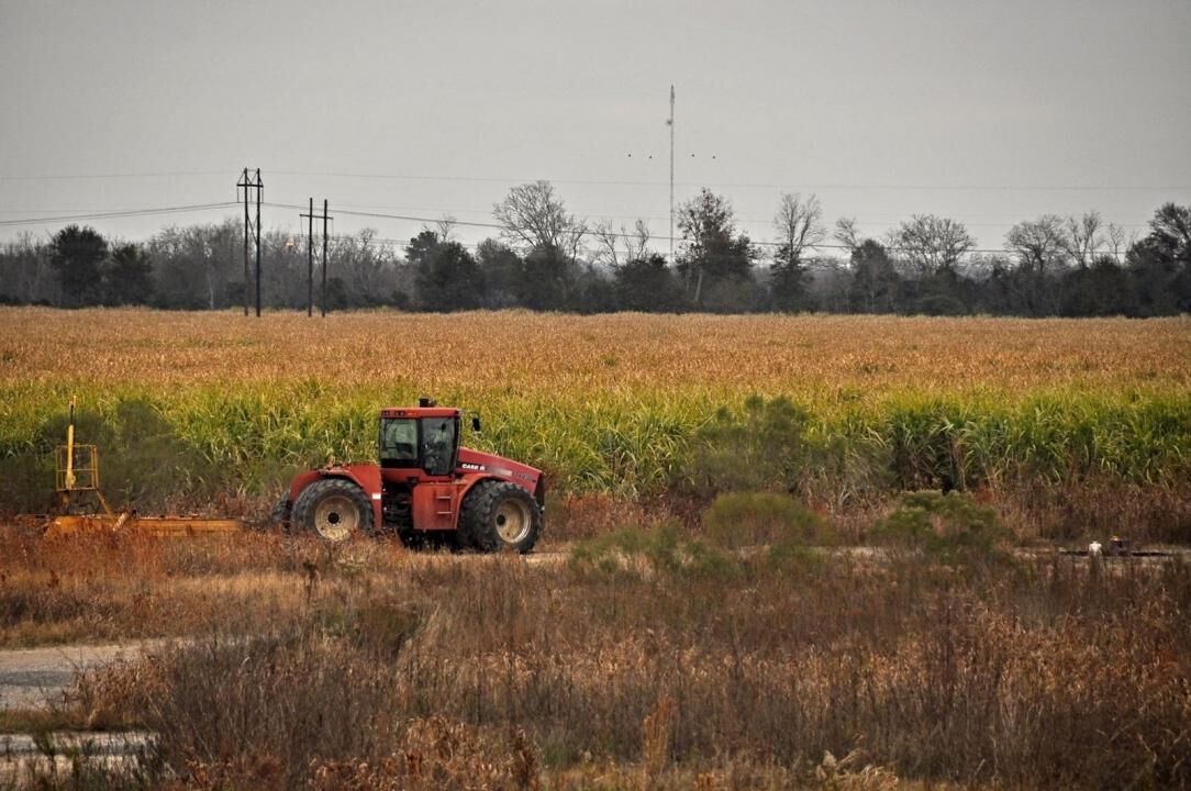 Louisiana